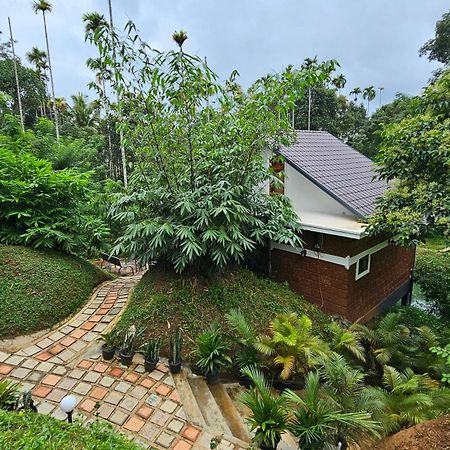 Casta Wild Resort Batheri Exterior foto