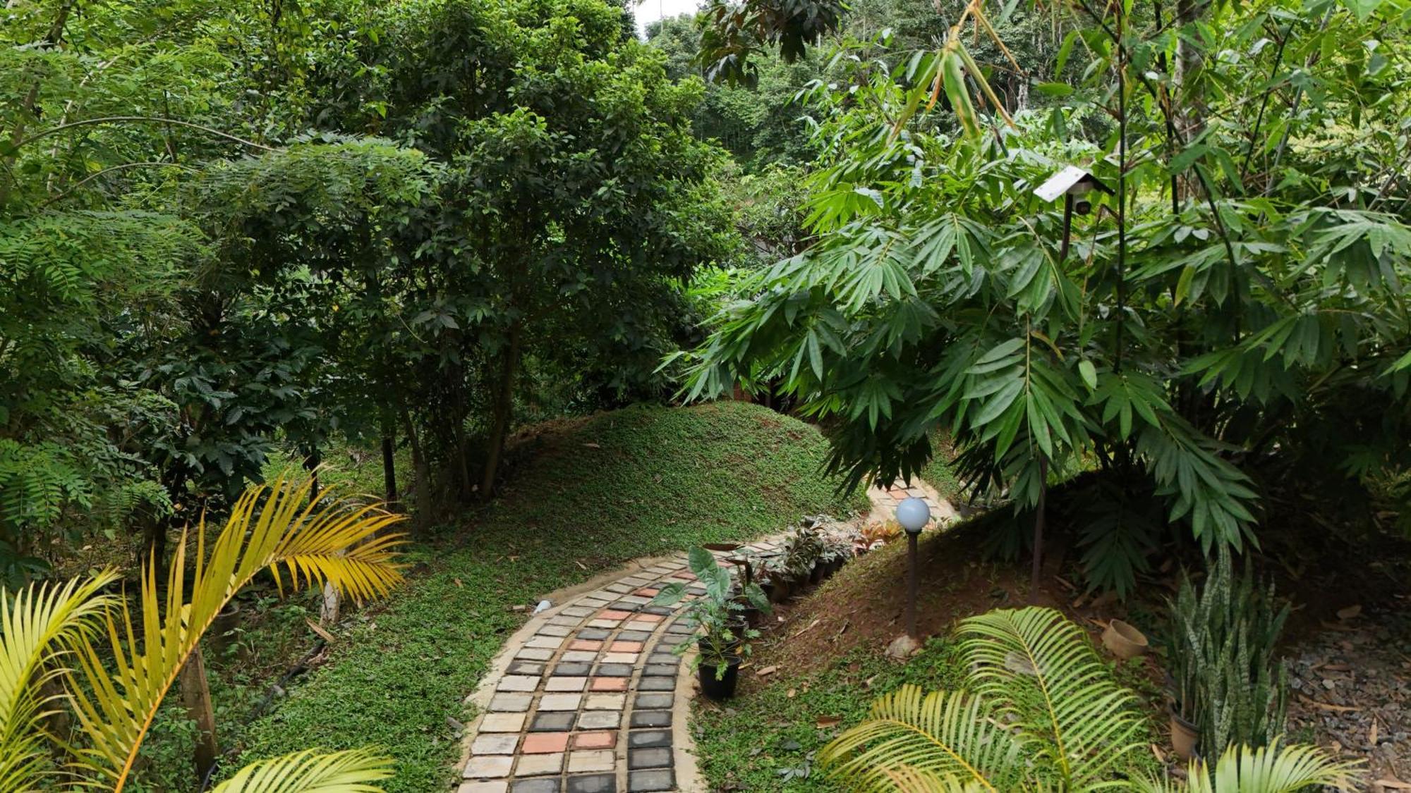 Casta Wild Resort Batheri Exterior foto